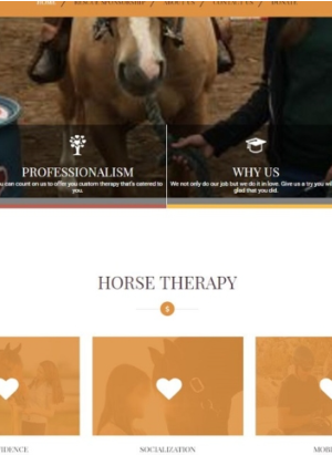 horses